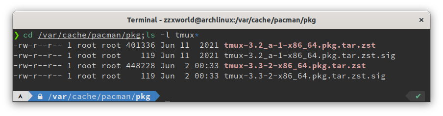 Screenshot for pacman cache about tmux version
