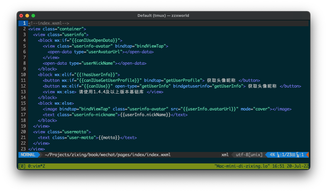 WXML 文件在 Vim 中的高亮显示