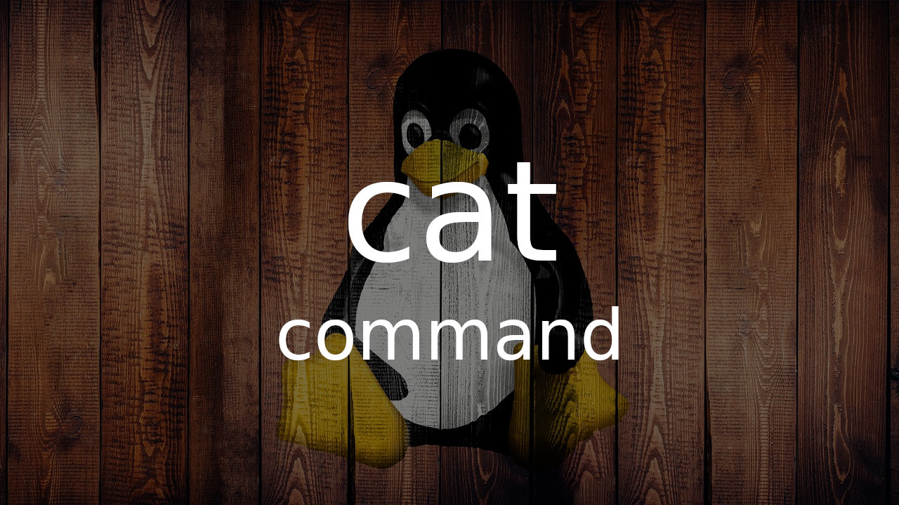 Linux cat 命令使用指南