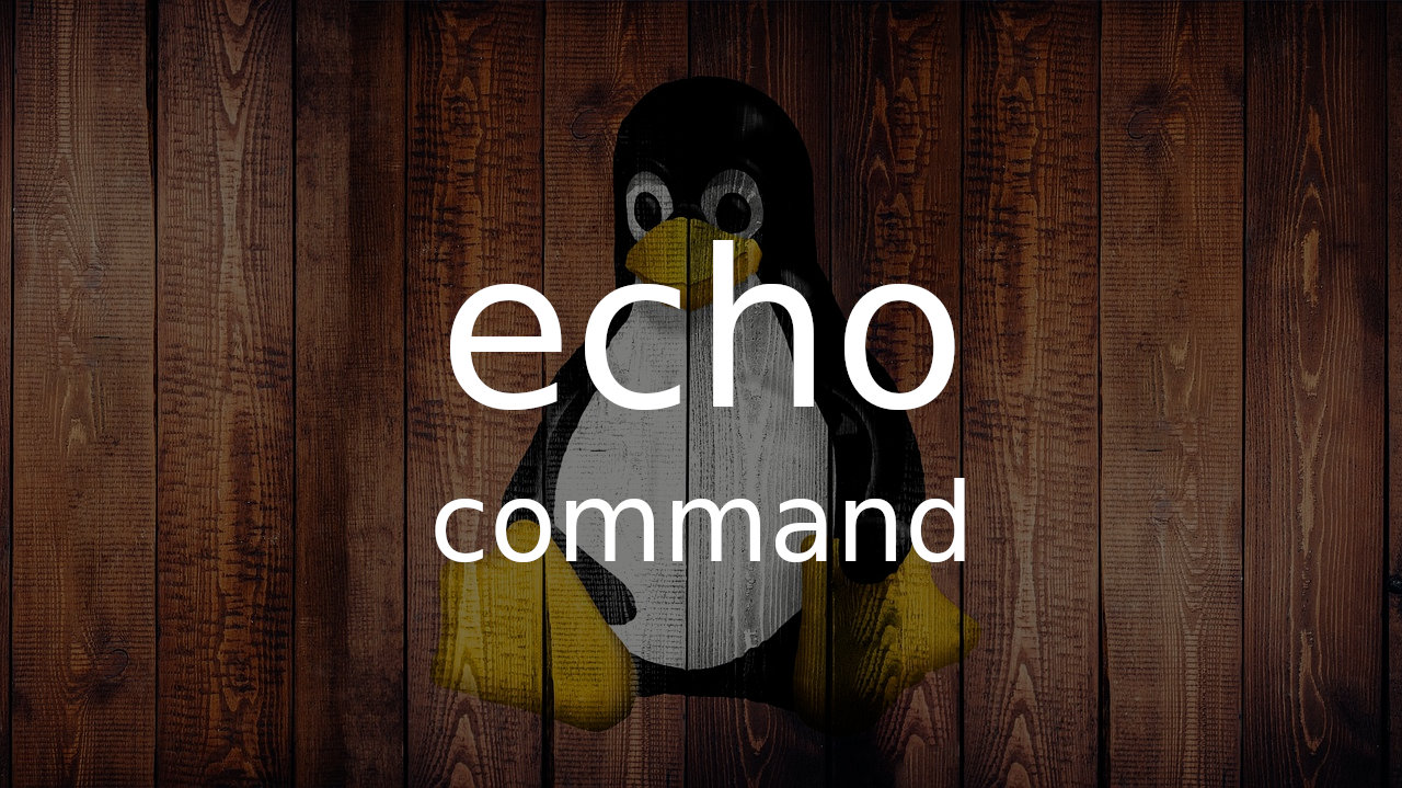 Linux echo 命令使用示例选项参考