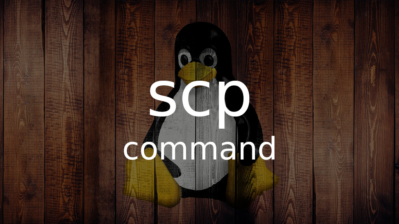Linux scp 命令使用示例和选项参考