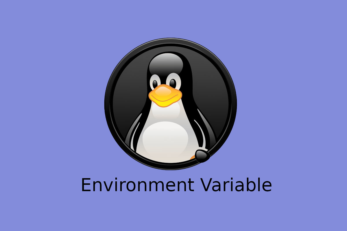 Linux 环境变量查看和配置指南