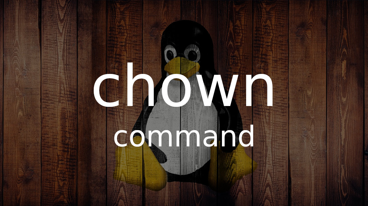 Linux chown 命令使用指南