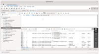 Workbench database browser