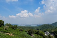 DSC03152