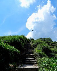 DSC03147