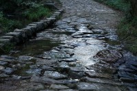 DSC03231