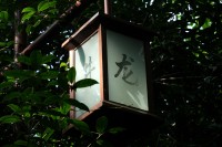 DSC03250